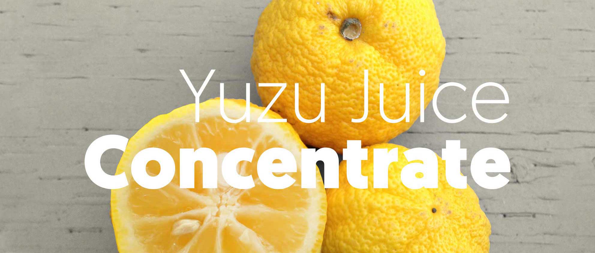 New citrus player - Yuzu Concentrate-image- 12