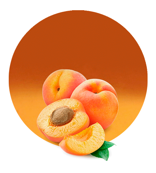 Apricot concentrate-image- 1