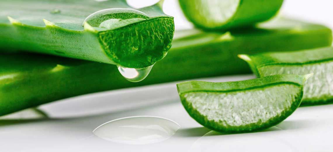 Aloe Vera Concentrate - Manufacturer and Supplier-image- 2