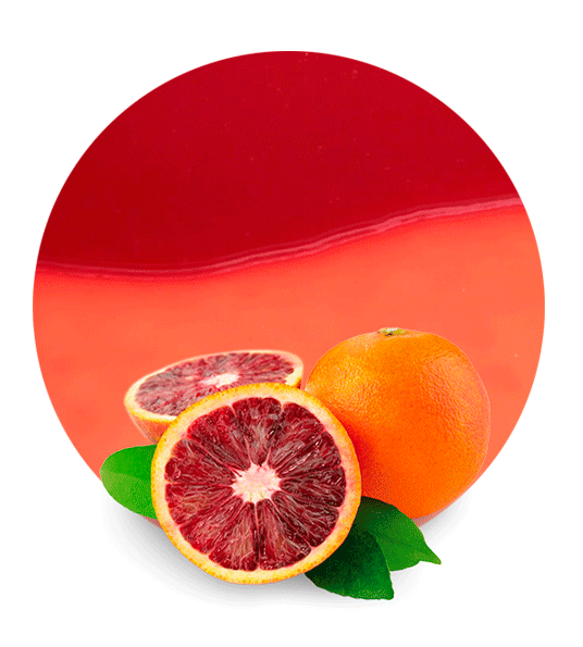 Blood Orange Concentrate-image- 1