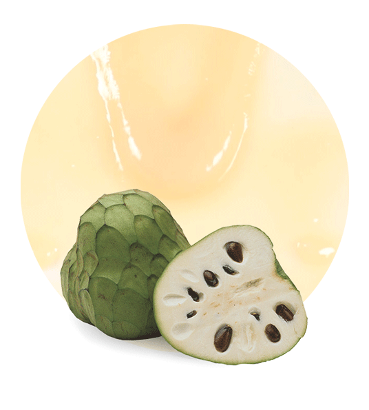 Cherimoya Concentrate-image- 1