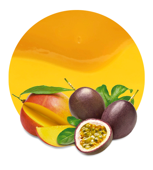 Mango & Passion Fruit Concentrate-image- 1