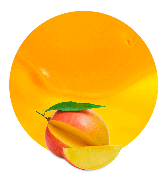 Mango puree concentrate-image- 1