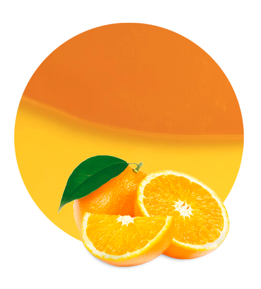 Orange Concentrate Brazilian Type-image- 1