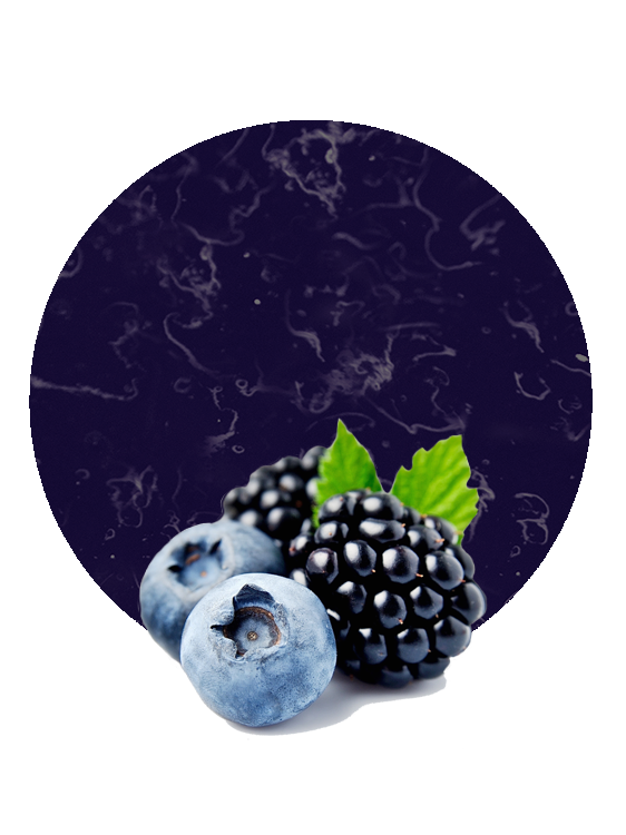 Blackberry - Blueberry Fruit Prep-image- 1