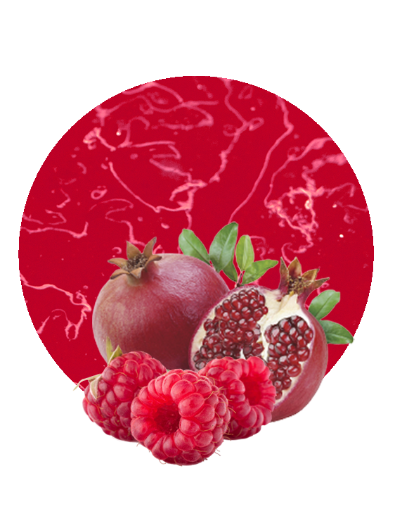 Raspberry - Pomegranate Fruit Prep-image- 1