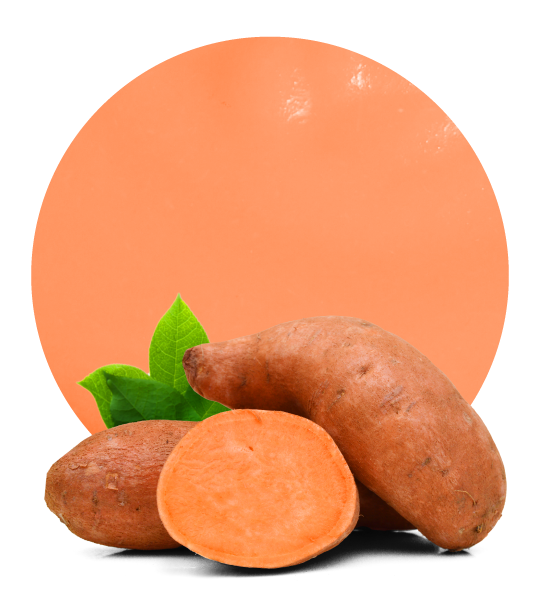 Organic Sweet Potato Puree-image- 1