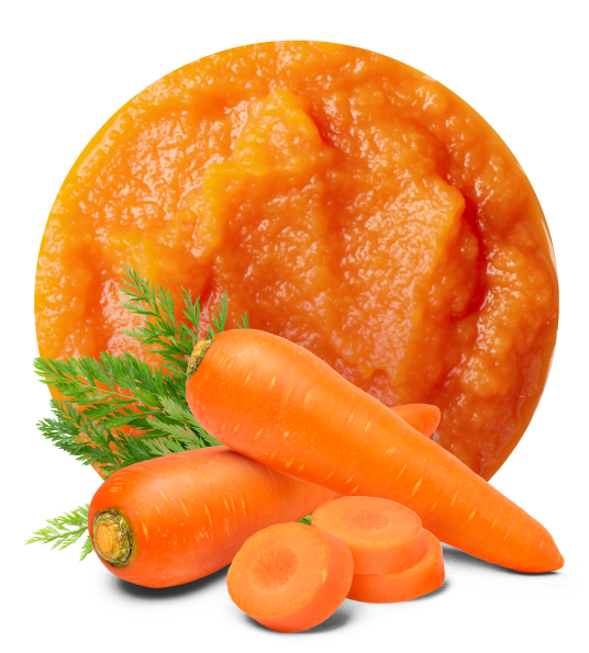 Organic Carrot Puree-image- 1