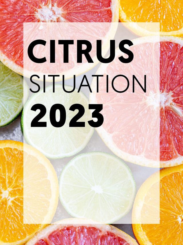 Citrus fruit situation in 2023