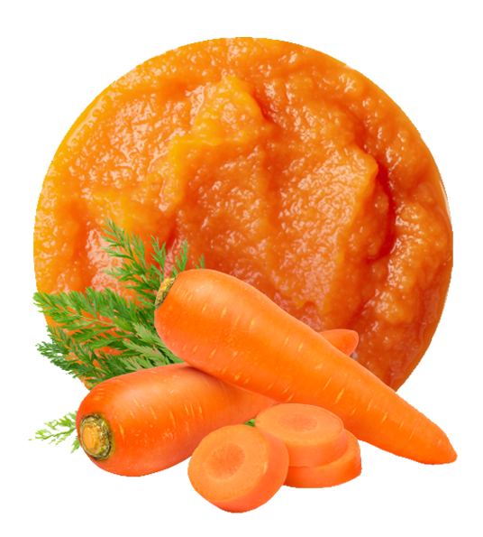 Organic Carrot Puree-image- 1