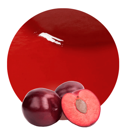 Red Plum Puree-image- 1