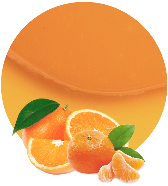 Citrus Blend Concentrate-image- 1