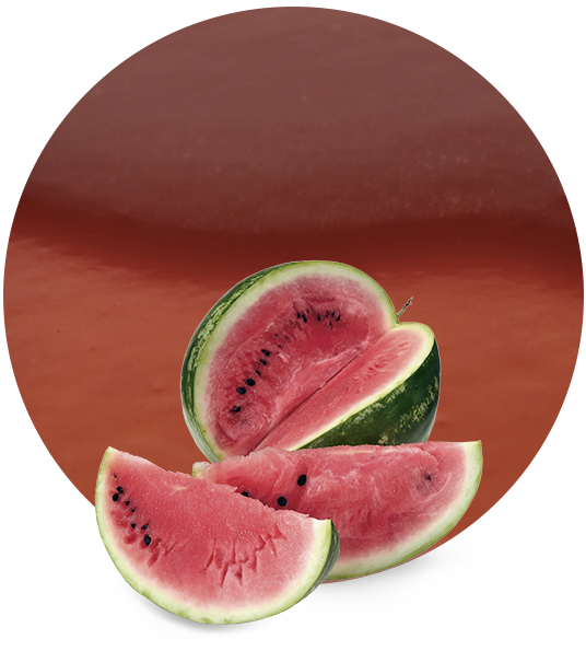 Watermelon Puree-image- 1